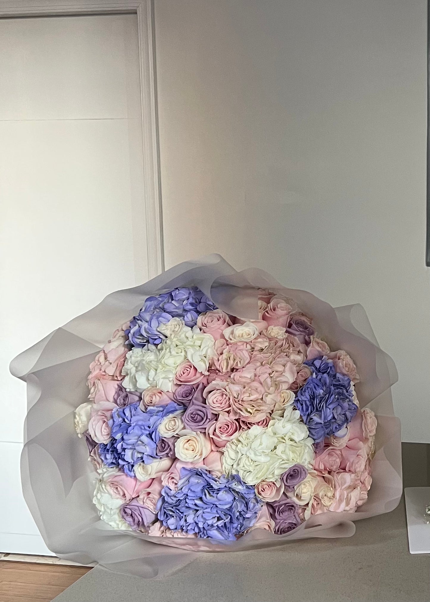 Pastel Dreams