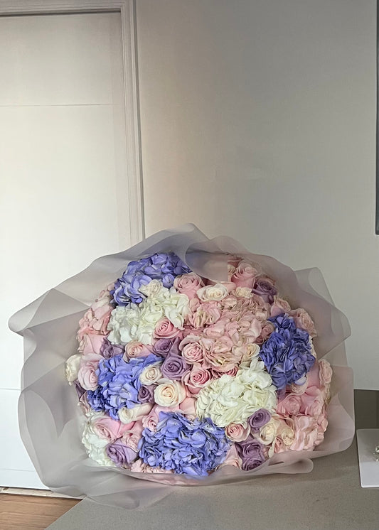 Pastel Dreams